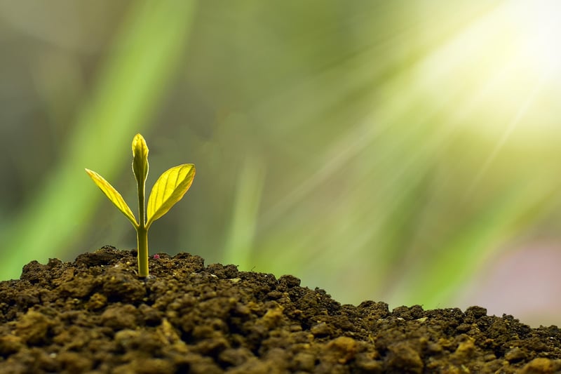 Business Growth Tips